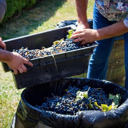 Todoroff Wine Residence Brestovica  Екстер'єр фото