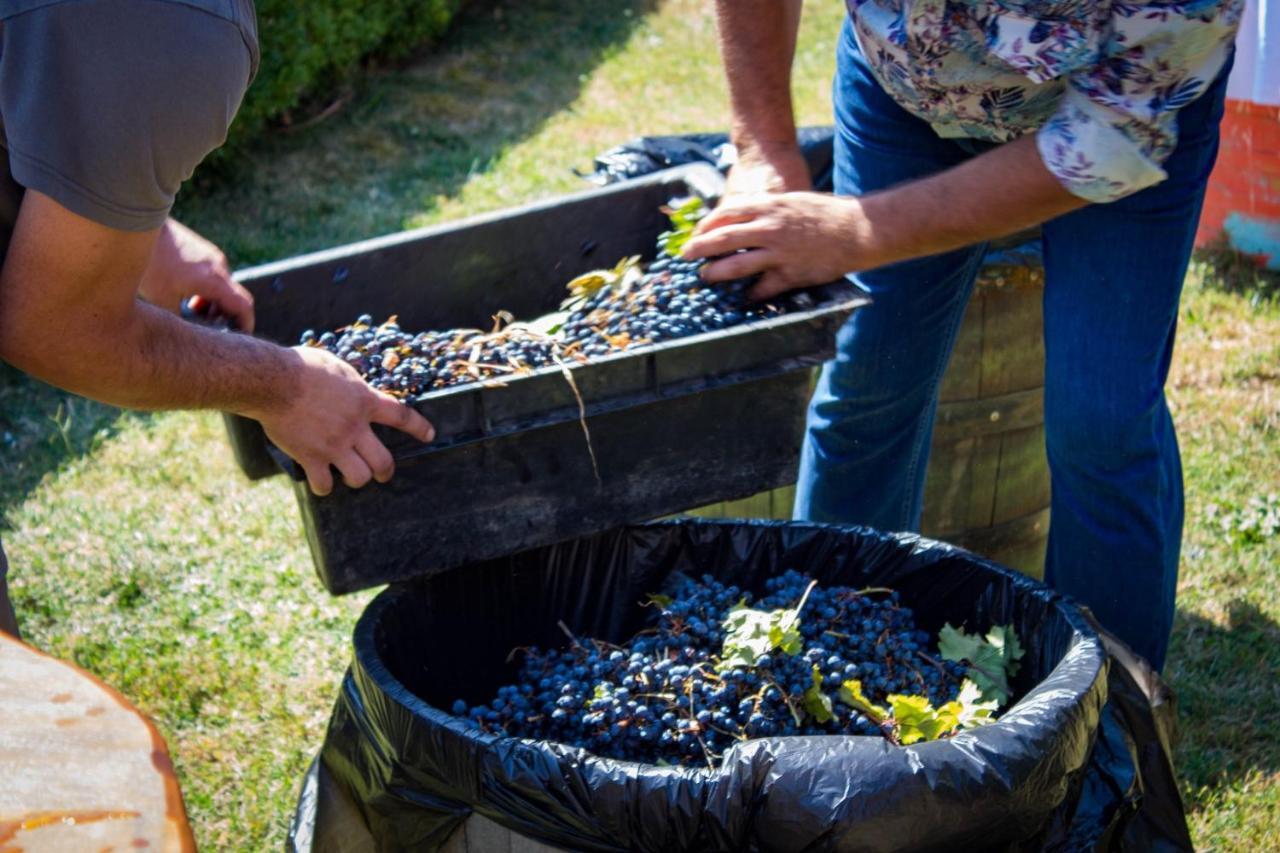 Todoroff Wine Residence Brestovica  Екстер'єр фото